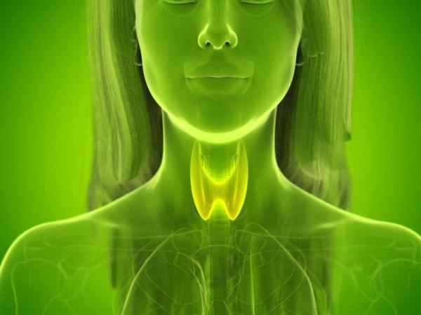  Gjëndra tiroide – sëmundjet dhe trajtimi