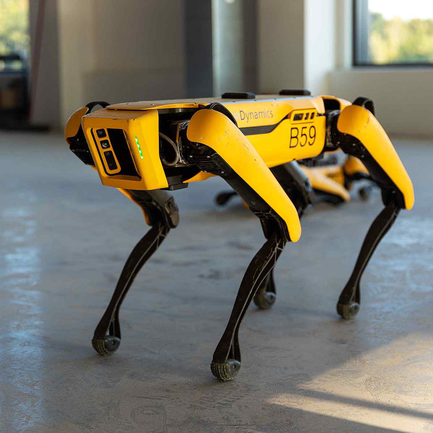  “Qentë robotë” kujdesen për distancimin fizik mes njerëzve