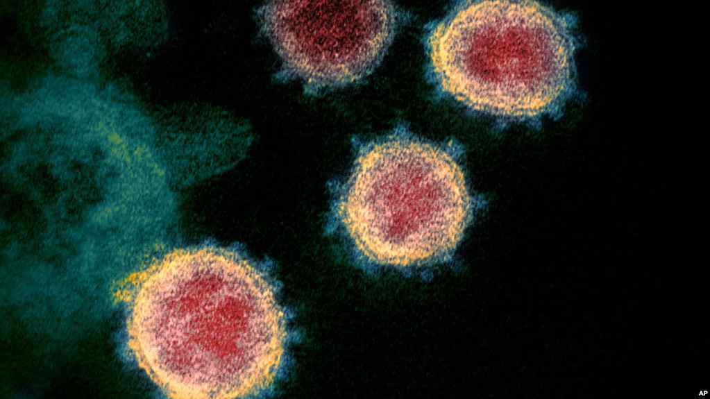  Rreth 100 mijë fëmijë amerikanë u infektuan me virus brenda dy javësh