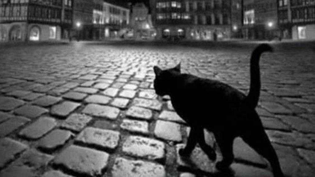  Çfarë ndodh nëse macja e zezë ju pret rrugën: Zbuloni të vërtetën e tersit legjendar