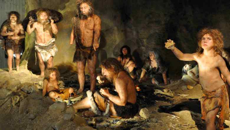  Përplasja me Neandertalët: Si luftoi specia jonë për epërsi, për më shumë se 100.000 vjet
