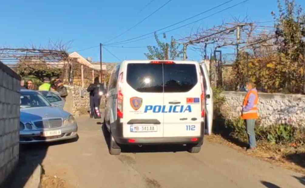  Aksidentale/ Po luante bilardo, polici vritet nga i biri 7-vjeç