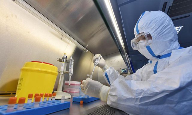  Akullorja rezulton pozitive me koronavirus, rasti nga Kina befason shkencëtarët