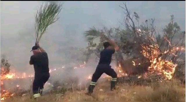  Videot/ Zjarret pushtojnë Shqipërinë prej 10 ditësh, situata dramatike në Dukat dhe në Orikum
