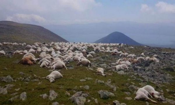  Rrufeja vret mbi 500 dele, dalin pamjet nga kodra