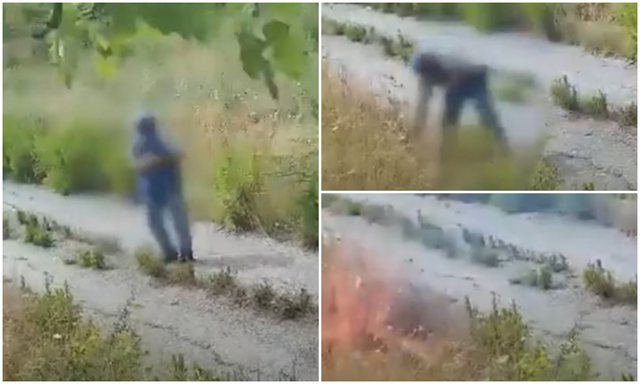  VIDEO/ Ja si zjarret masive vdekjeprurëse po i ndezin vetë njerëzit
