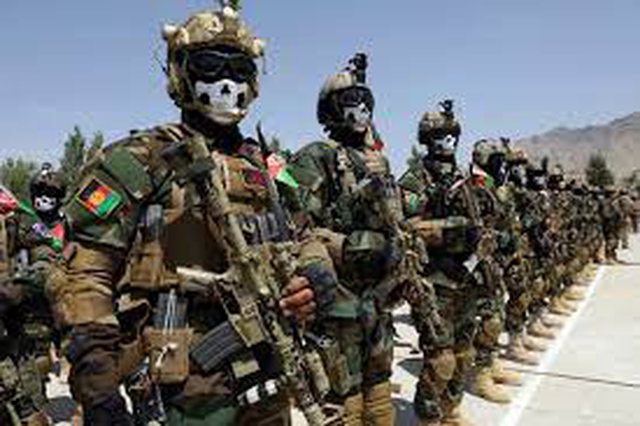  Komandot afgane në Luginën Panjshir nisin rezistencën ndaj talebanëve
