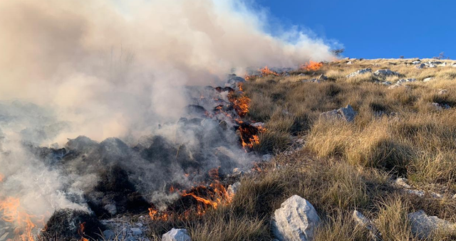  Zjarret po rrezikojnë parkun kombëtar të Llogarasë
