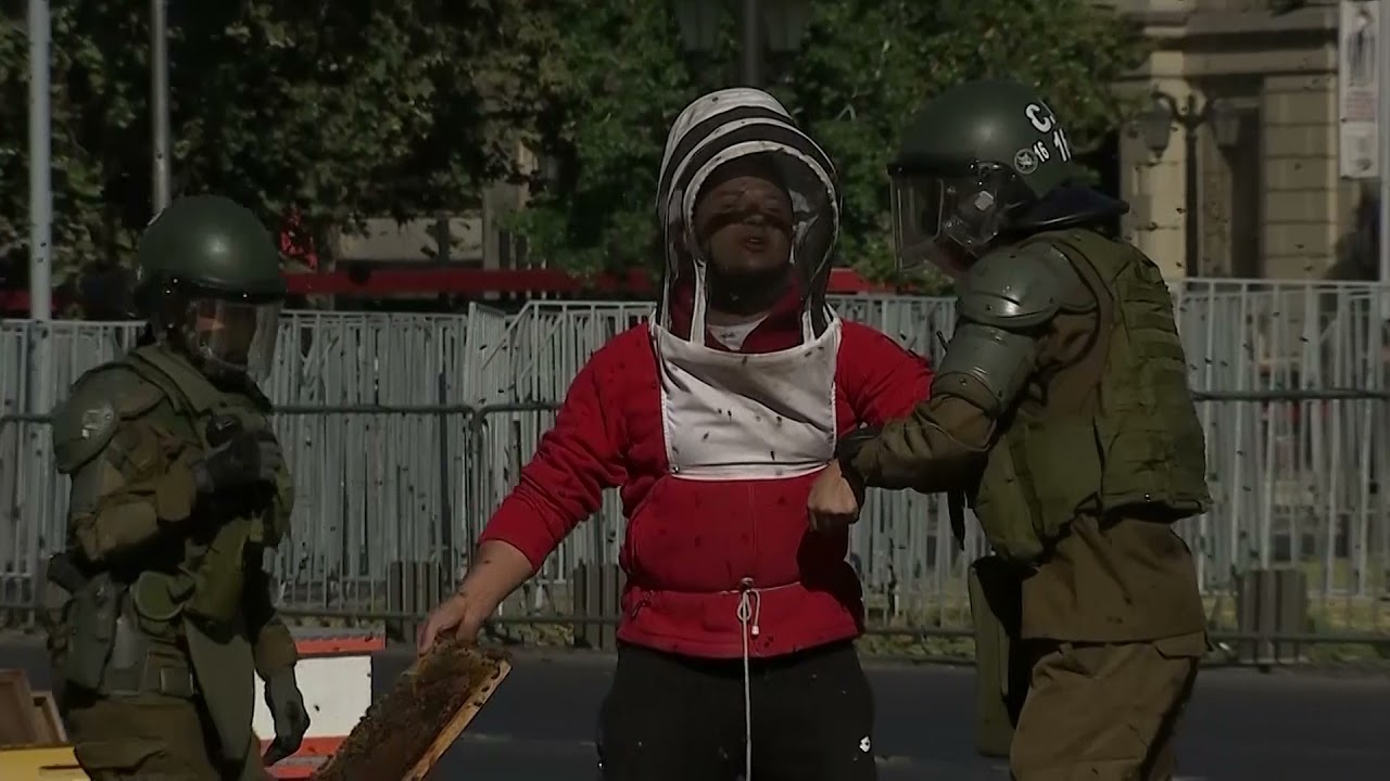  Protestuesit morën bletët me vete për t’i thumbuar policët (VIDEO)