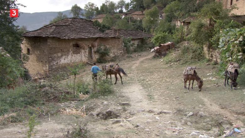  Televizioni gjerman dokumentar për gjallesat e egra në Shqipëri: Thesare natyrore të pazbuluara