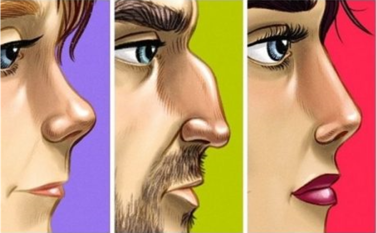  Çfarë tregon forma e hundës për personalitetin tuaj