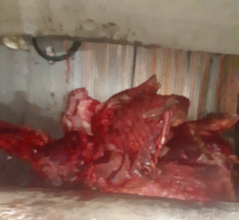  Asgjësohen 300 kg mish të prishur në Skenderaj