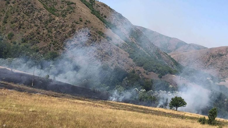  Regjistrohen dy zjarre në pyje, detaje nga policia