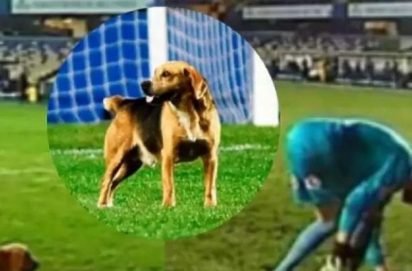  Qeni ndërpret ndeshjen 7 minuta (VIDEO)