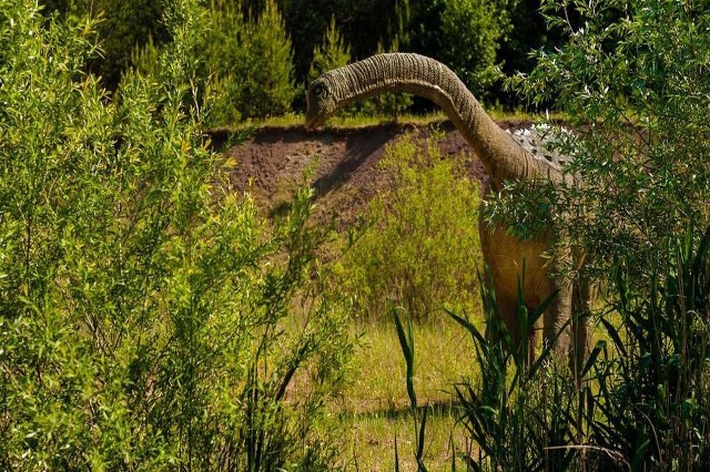  Ai që zhduku dinozaurët? Zbulohet në Afrikë krateri gjigand i goditjes së asteroidit