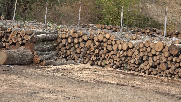  Një metër dru deri në 100 euro – Çmimet e papërballueshme
