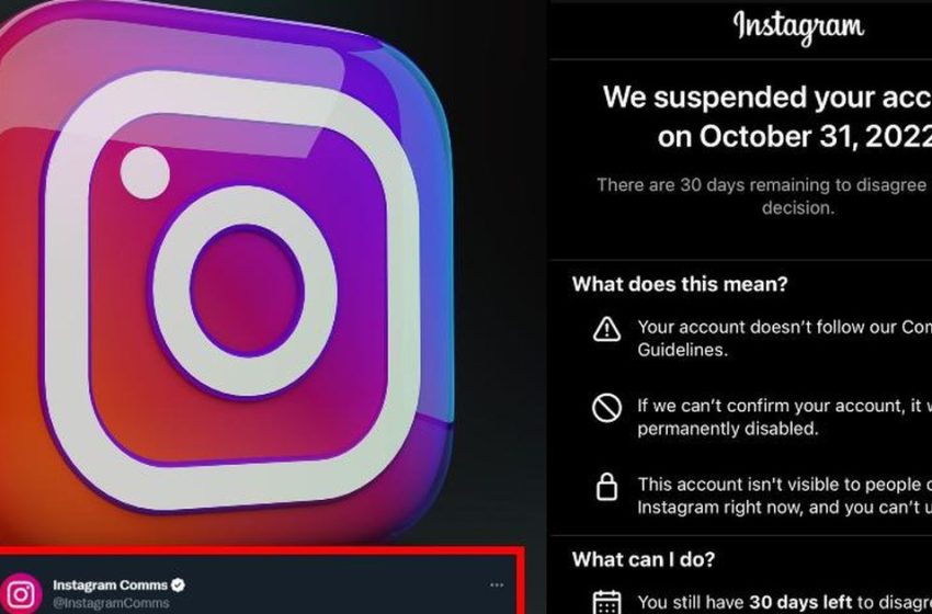  Pezullimi i miliona llogarive dhe bllokimi i aplikacionit, vjen reagimi nga vetë Instagram!