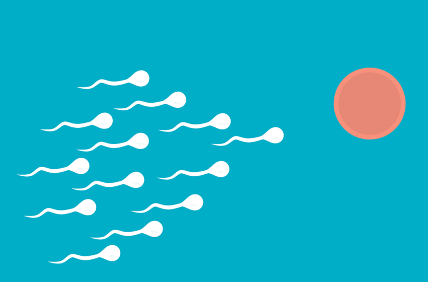  Kuriozitete për spermën, shumëçka keni dëgjuar janë thjesht mite