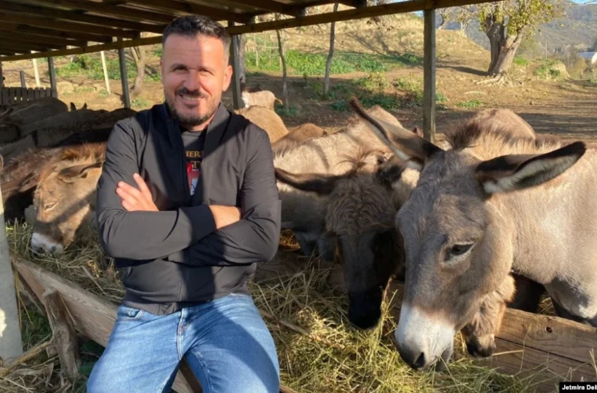  E la Tiranën e gazetarinë për t’u bërë fermer gomaricash