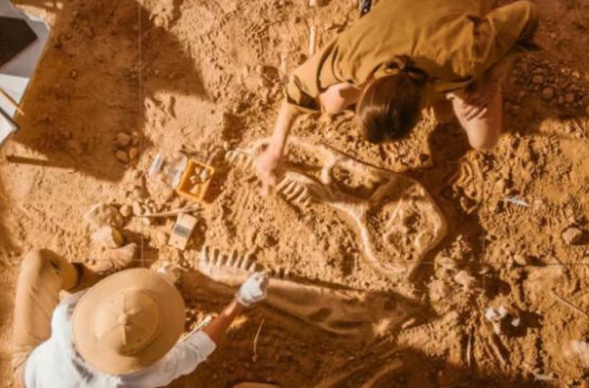  Si i zgjidhin arkeologët misteret e mijëra viteve më parë?