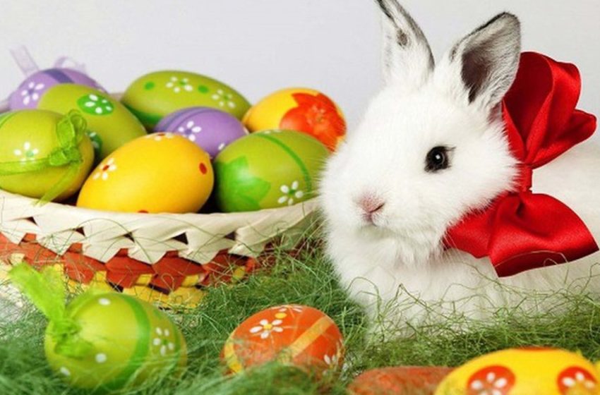  Historia e lepurushit të Pashkëve që shpërndan vezë: Si u kthye në simbolin e festës