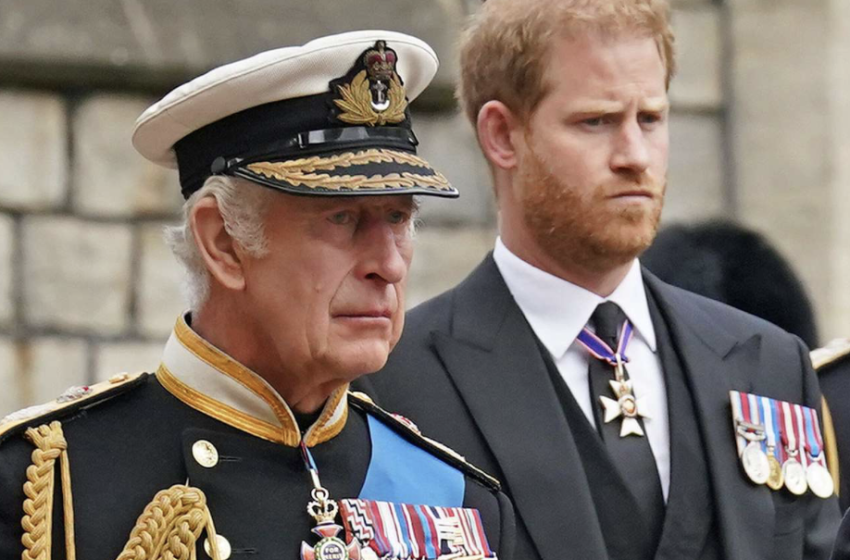  Princi Harry flet për herë të parë për takimin me mbretin Charles